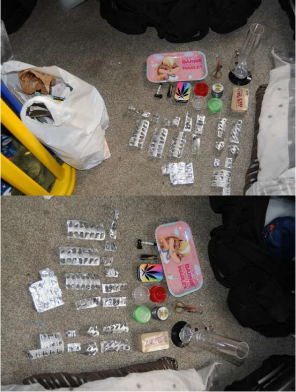Drugs recovered from the home of the defendants
