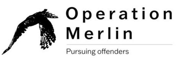 Operation Merlin