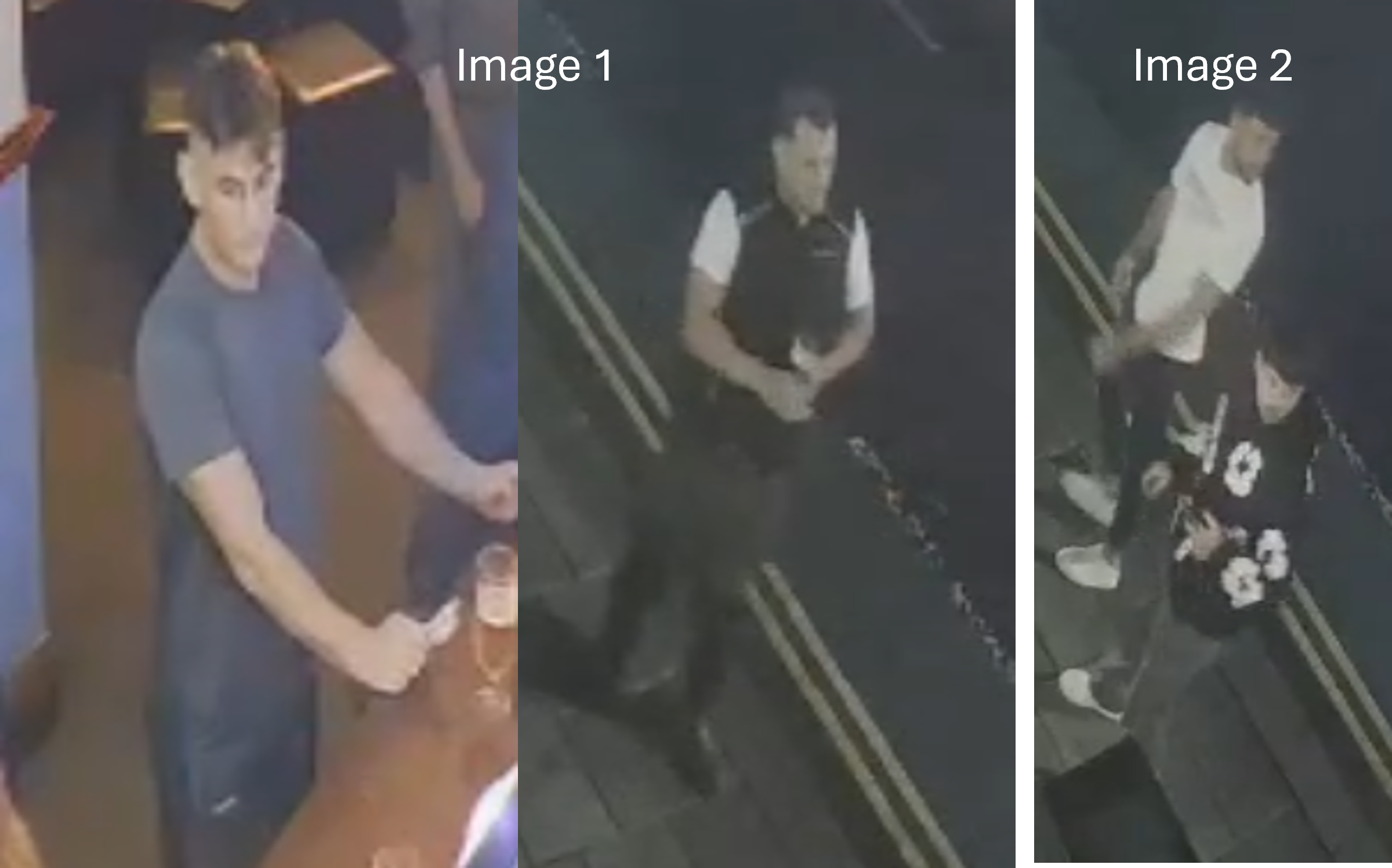 CTCTV appeal - The Roadhouse