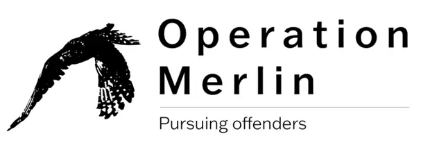 Operation Merlin