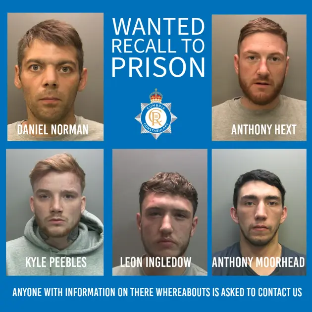Wanted