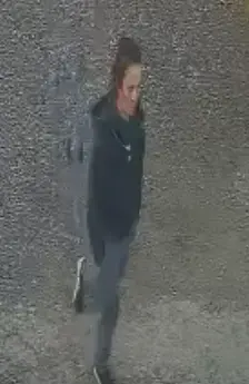 Rowrah burglary CCTV image